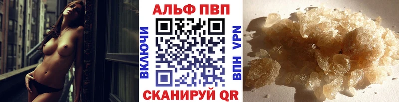 Alfa_PVP СК КРИС  Пошехонье 