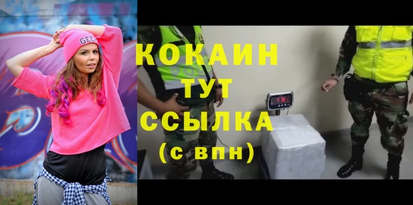 гидра Алексин
