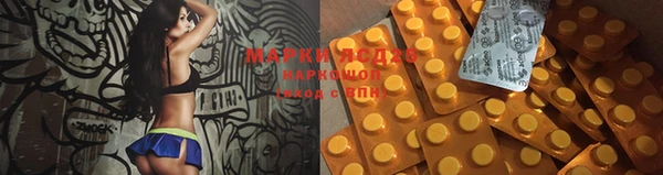 гидра Алексин
