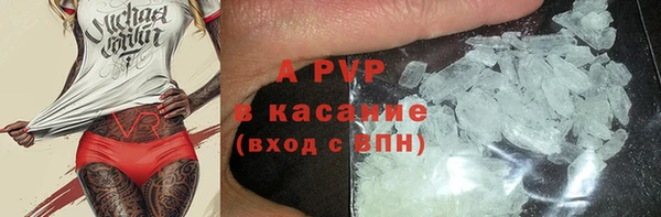гидра Алексин