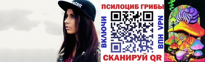 Псилоцибиновые грибы Magic Shrooms  купить  сайты  Пошехонье 